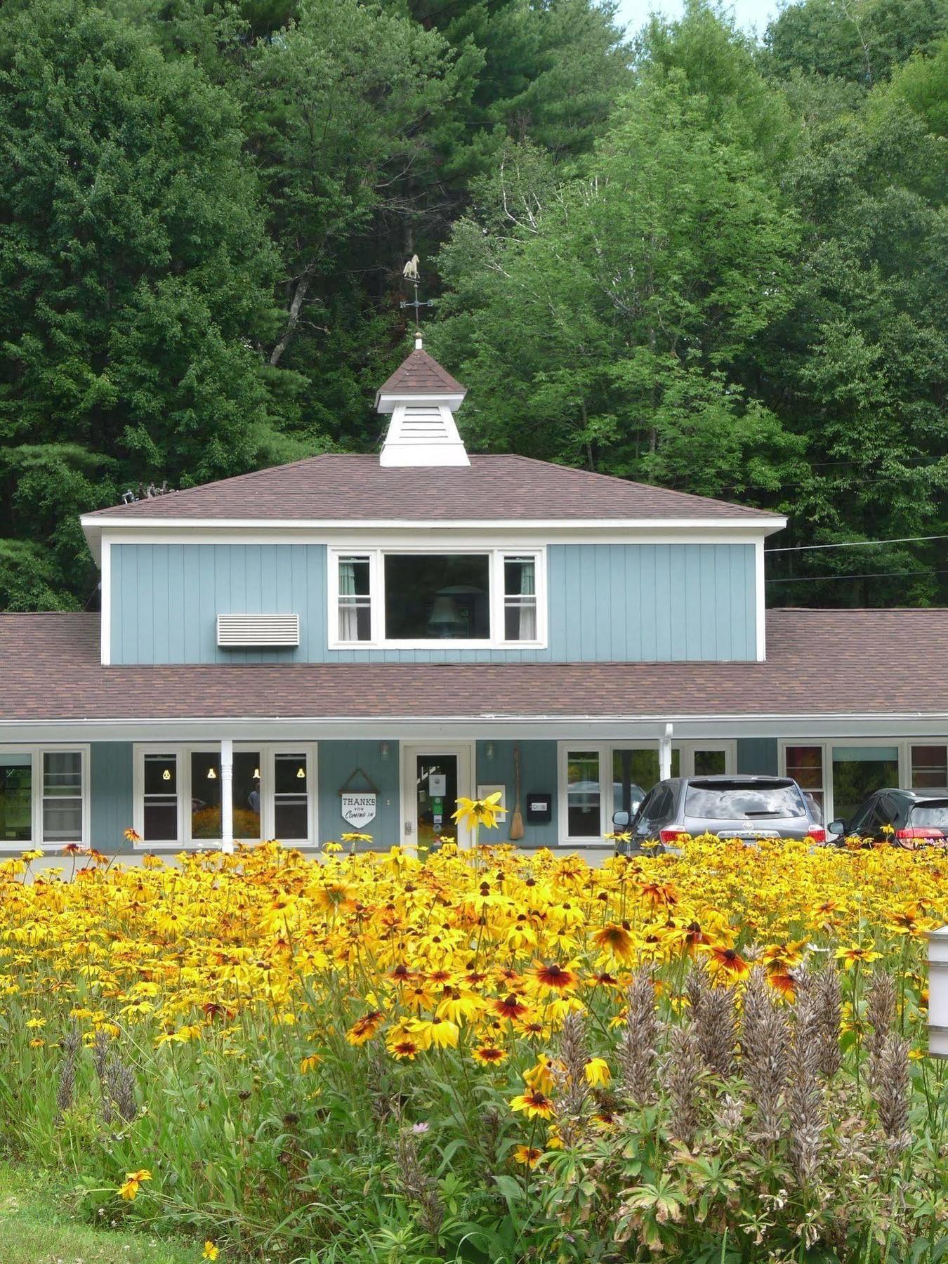 Motel The Little Lion Great Barrington Esterno foto